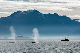 Barbee_220811_0116.jpg
