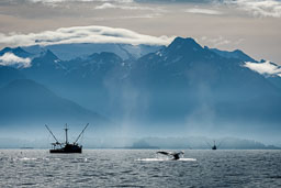 Barbee_220811_0145-Edit.jpg