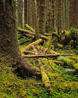 Barbee_190519_2774-Edit.jpg