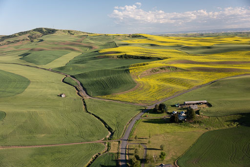 Palouse from the air essay