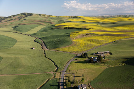 Palouse from the air essay